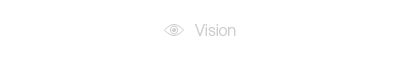 vision